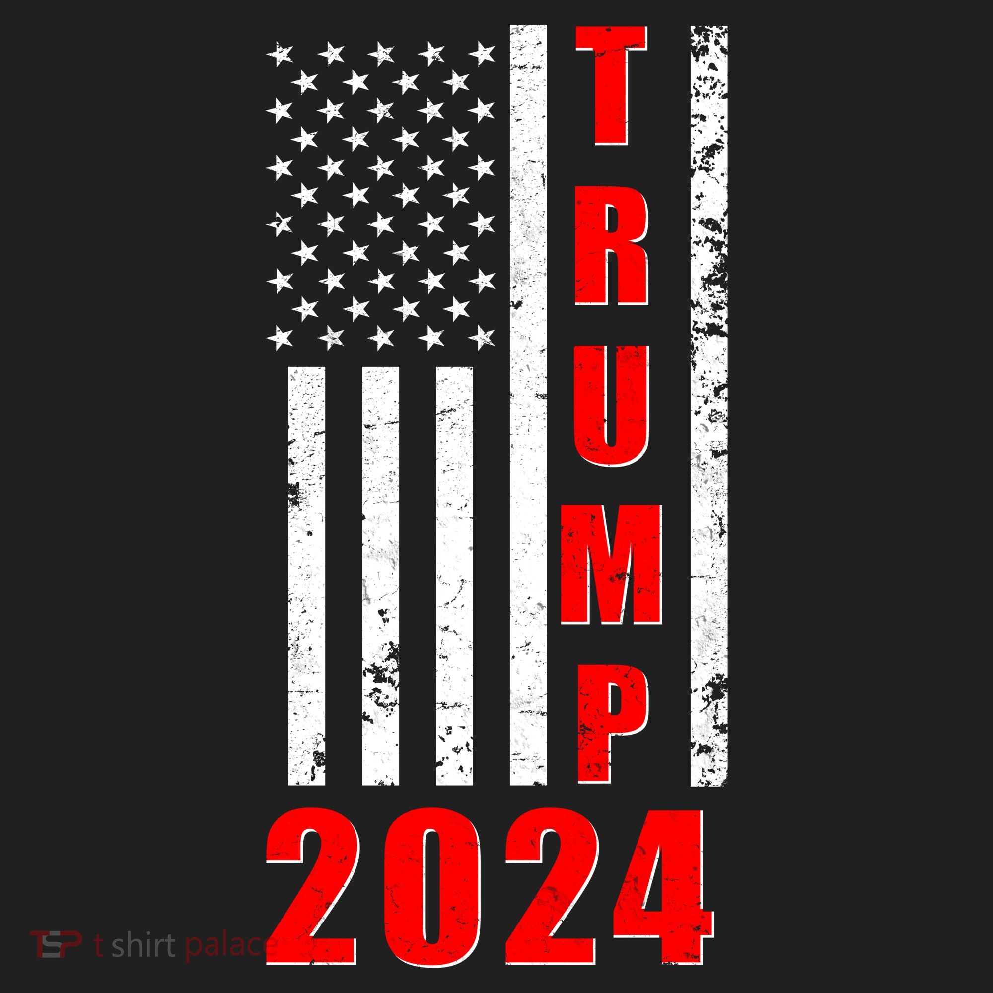 Trump 2024 Election Distressed US Flag Beanie