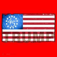 Trump 45 Betsy Ross 13 Original Colonies Flag Santa Hat thumb 1