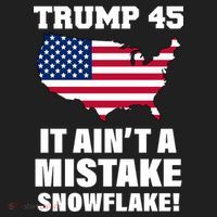 Trump 45 It Ain't A Mistake Snowflake Tumbler thumb 3