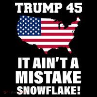 Trump 45 It Ain't A Mistake Snowflake Tank Top thumb 6