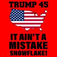 Trump 45 It Ain't A Mistake Snowflake Santa Hat thumb 1