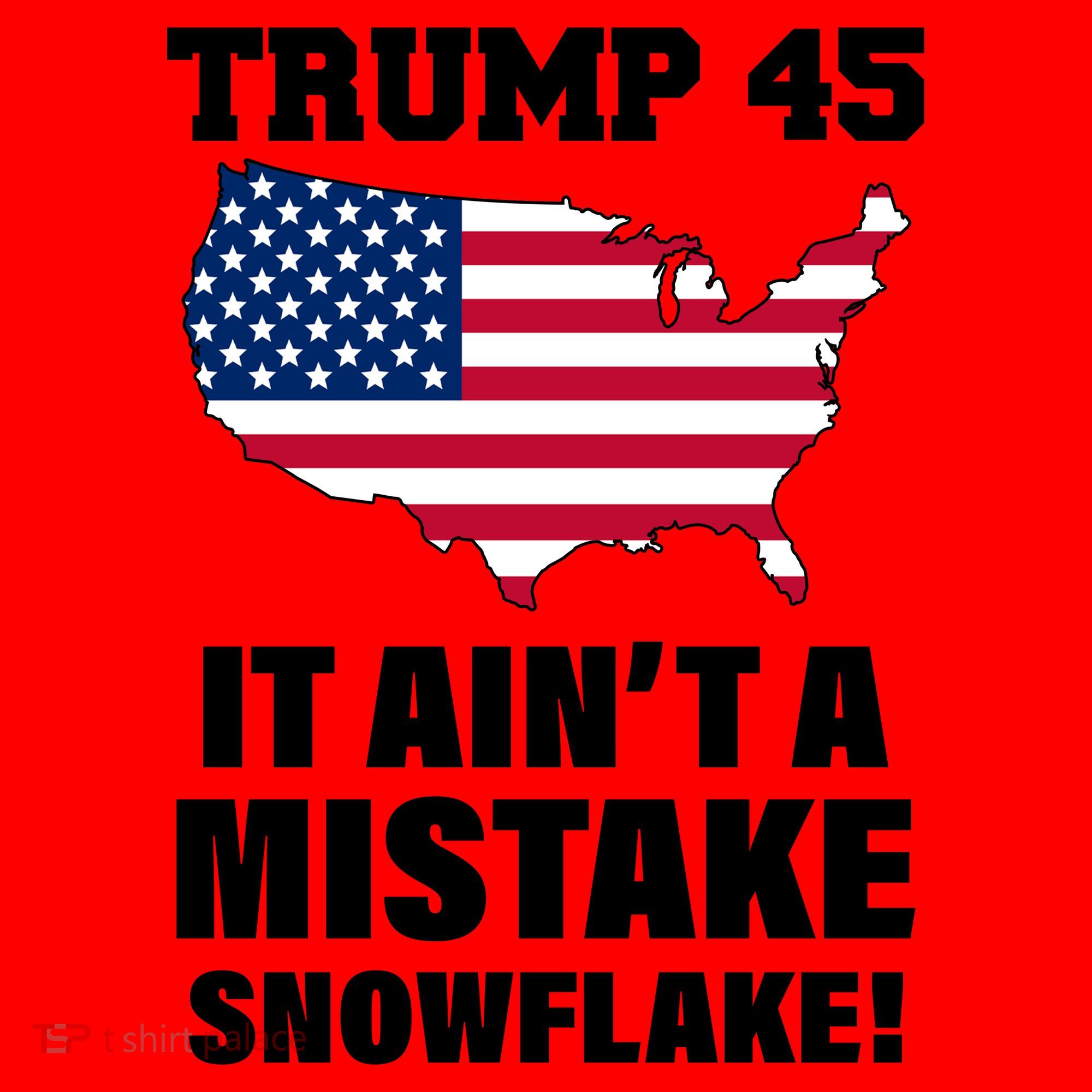 Trump 45 It Ain't A Mistake Snowflake Santa Hat