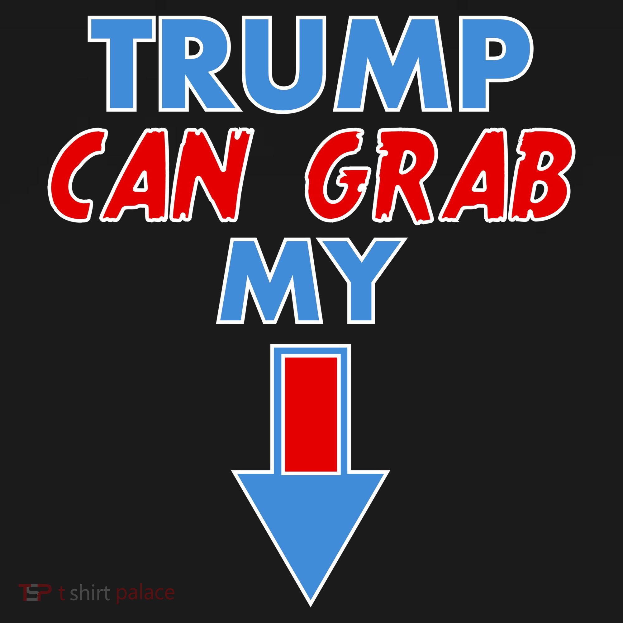 Trump Can Grab My Pussy Arrow 2020 Election Coaster
