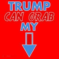 Trump Can Grab My Pussy Arrow 2020 Election Santa Hat thumb 1