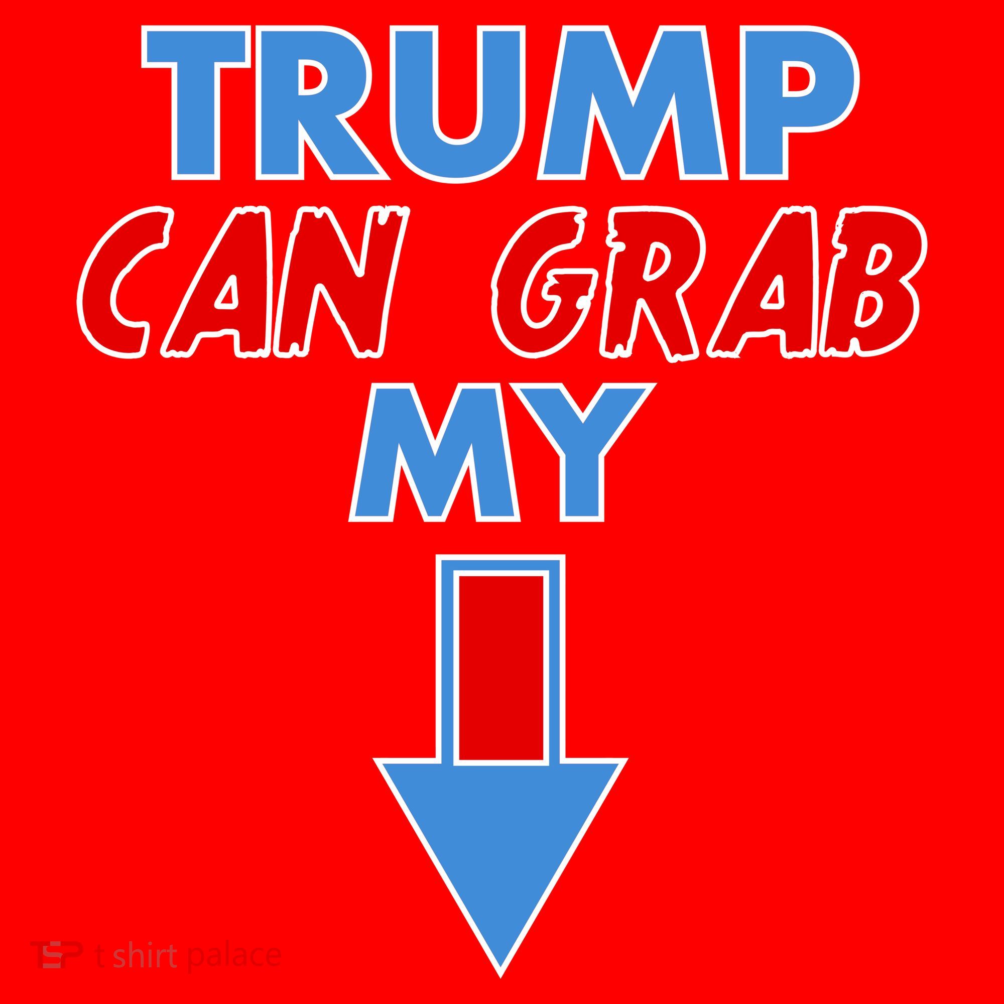 Trump Can Grab My Pussy Arrow 2020 Election Santa Hat