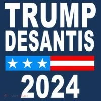 Trump Desantis 2024 US Flag Toddler Hoodie thumb 2