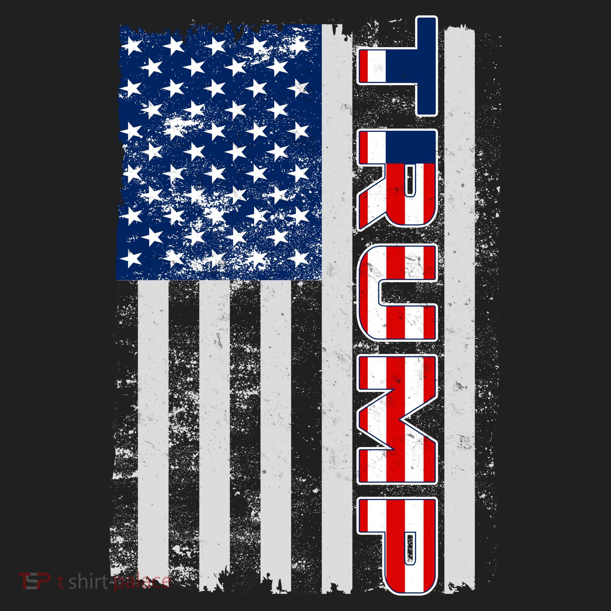 Trump Distressed USA Flag Beanie