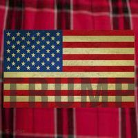 Trump For America Men's Flannel Plaid Pajama Pants thumb 2