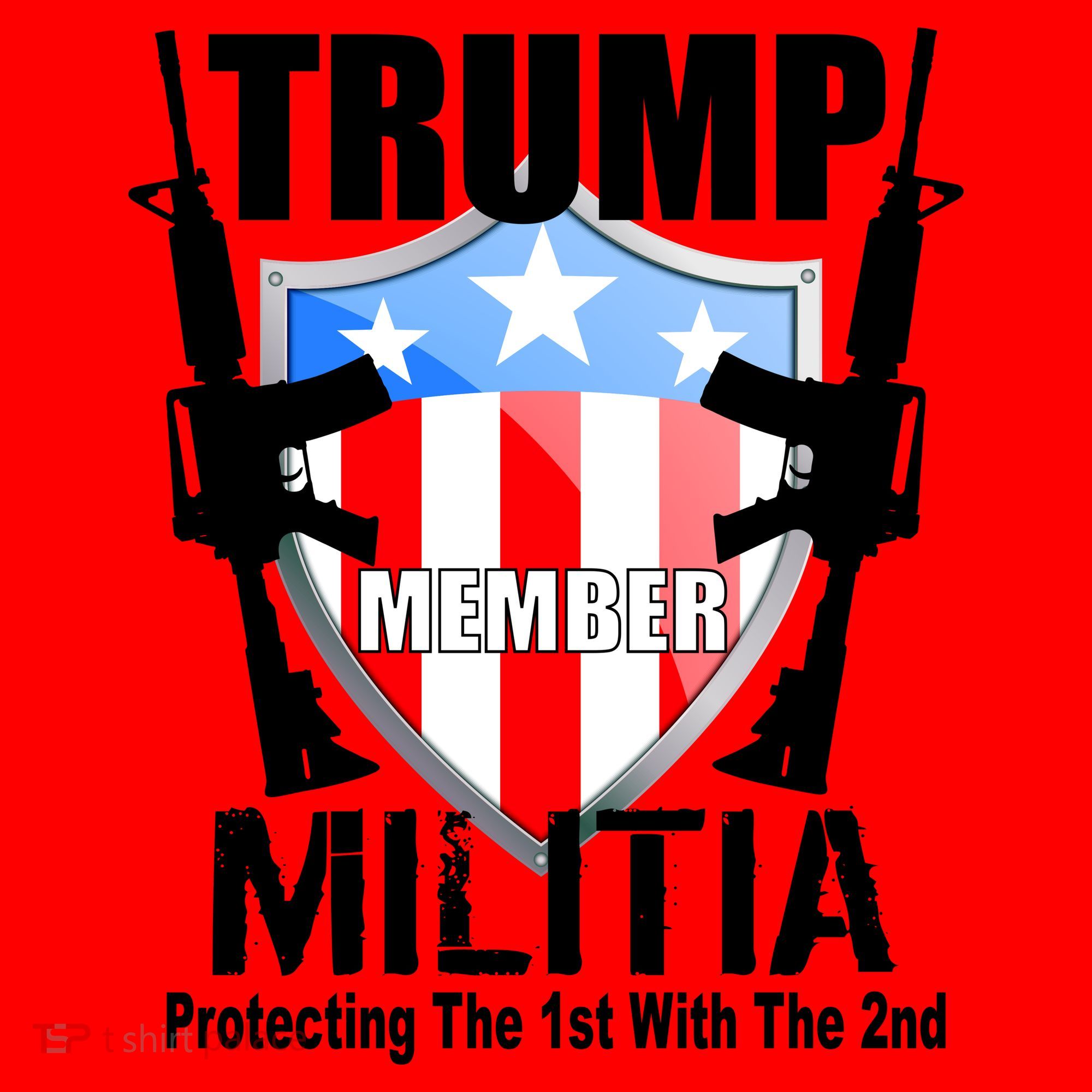 Trump Militia Protecting The 1st With 2nd Santa Hat