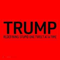 Trump Redefining Stupid One Tweet At A Time Santa Hat thumb 1