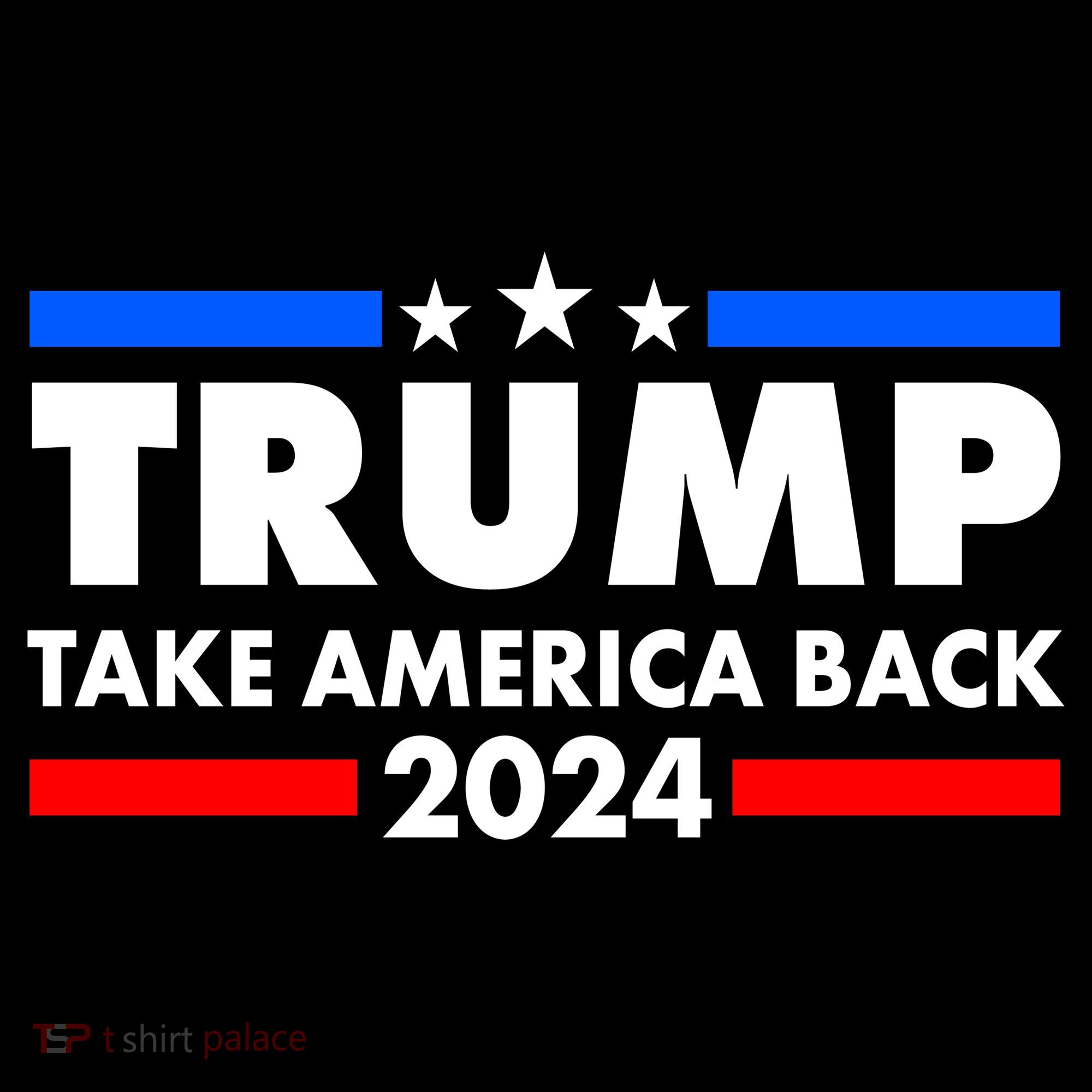 Trump Take America Back 2024 Election Logo Women's Hoodie