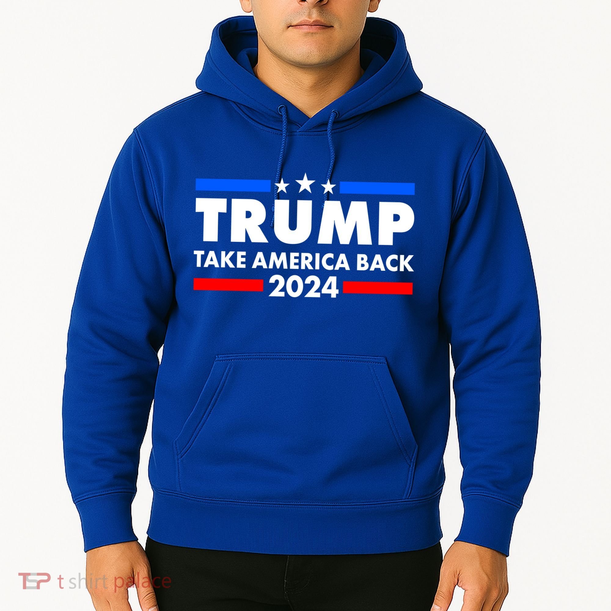 Trump Take America Back 2024 Election Logo Hoodie