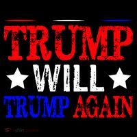 Trump Will Trump Again Toddler Hoodie thumb 2