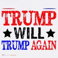 Trump Will Trump Again Hat thumb 2