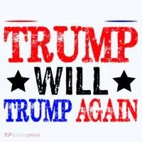 Trump Will Trump Again Toddler T-Shirt thumb 4