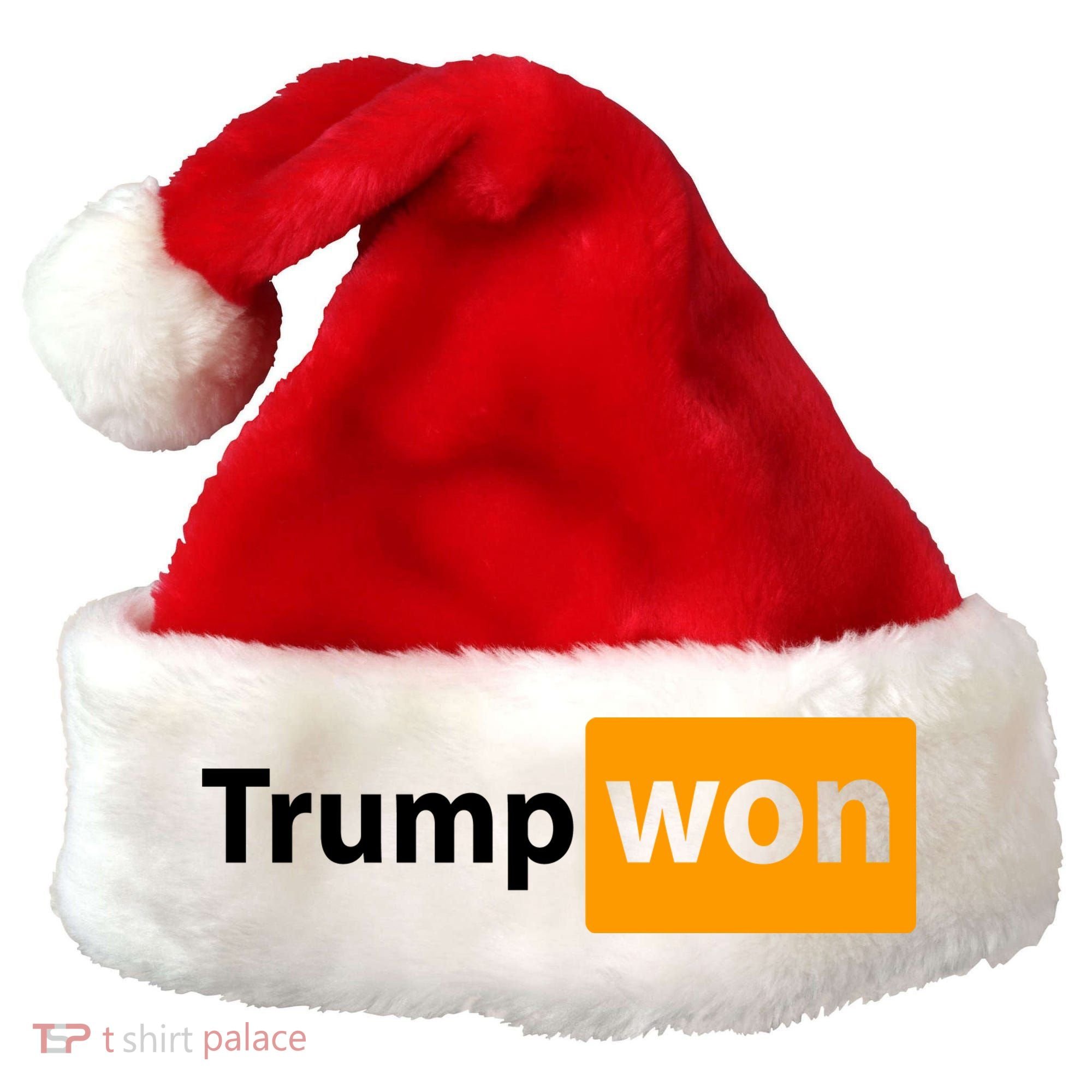 Trump Won Santa Hat