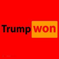 Trump Won Santa Hat thumb 1