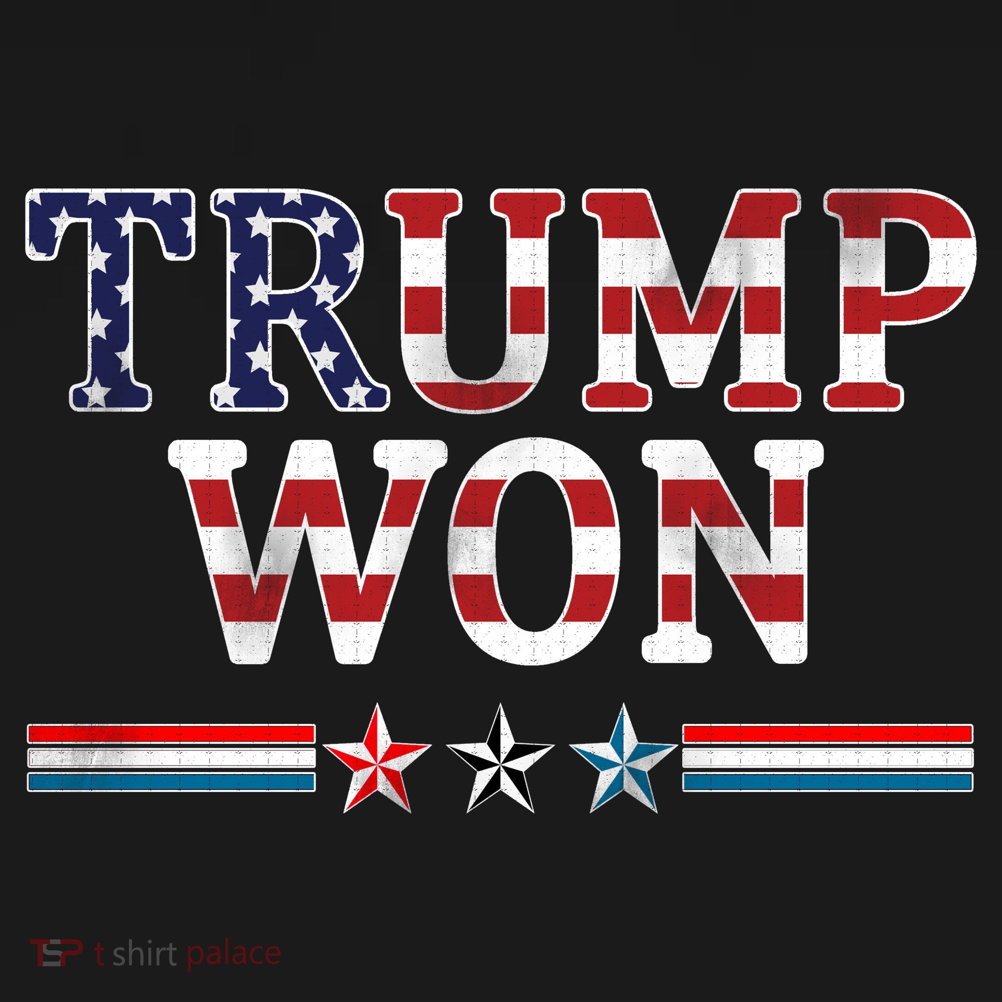 Trump Won American Flag Pro Republican Long Sleeve Shirt