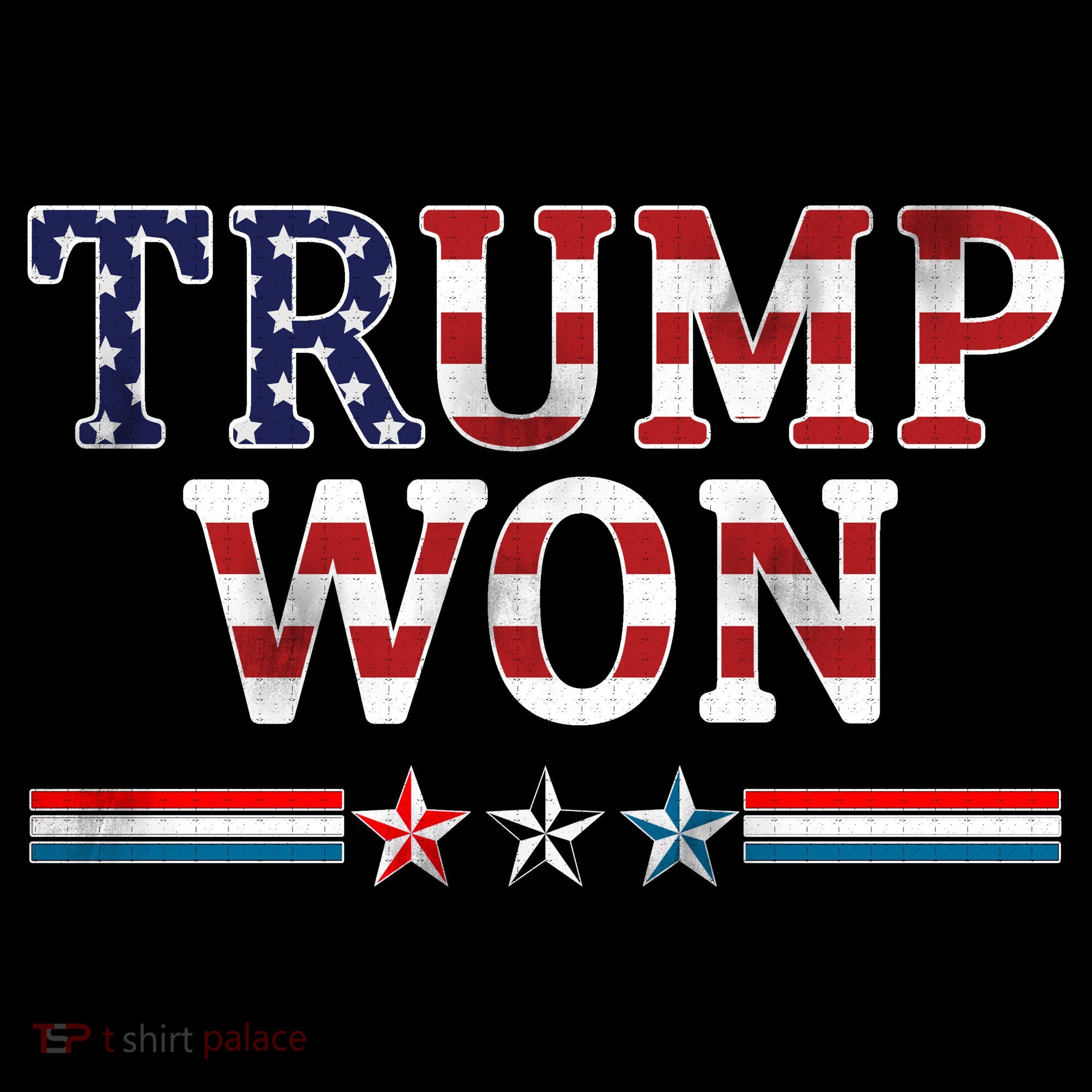 Trump Won American Flag Pro Republican Women's Hoodie