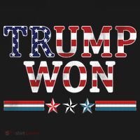 Trump Won American Flag Pro Republican Ornament thumb 1