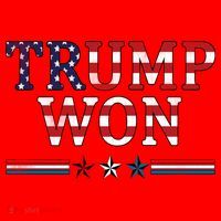 Trump Won American Flag Pro Republican Santa Hat thumb 1
