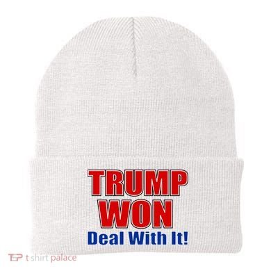 Trump Won Deal With It Beanie