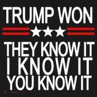 Trump Won They Know It I Know It You Know It USA-Made Doggie Bandana thumb 2