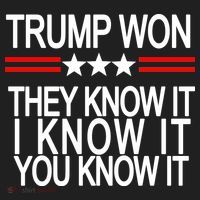 Trump Won They Know It I Know It You Know It Beanie thumb 2