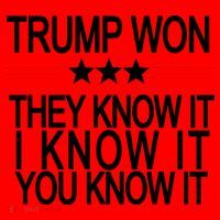 Trump Won They Know It I Know It You Know It Santa Hat thumb 1