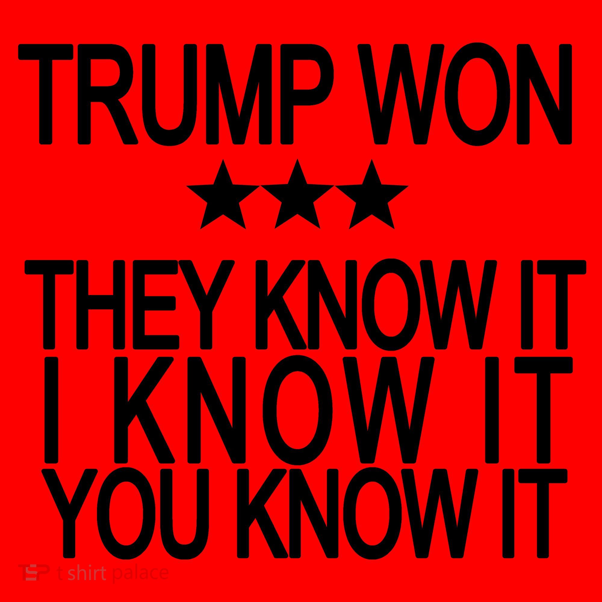 Trump Won They Know It I Know It You Know It Santa Hat
