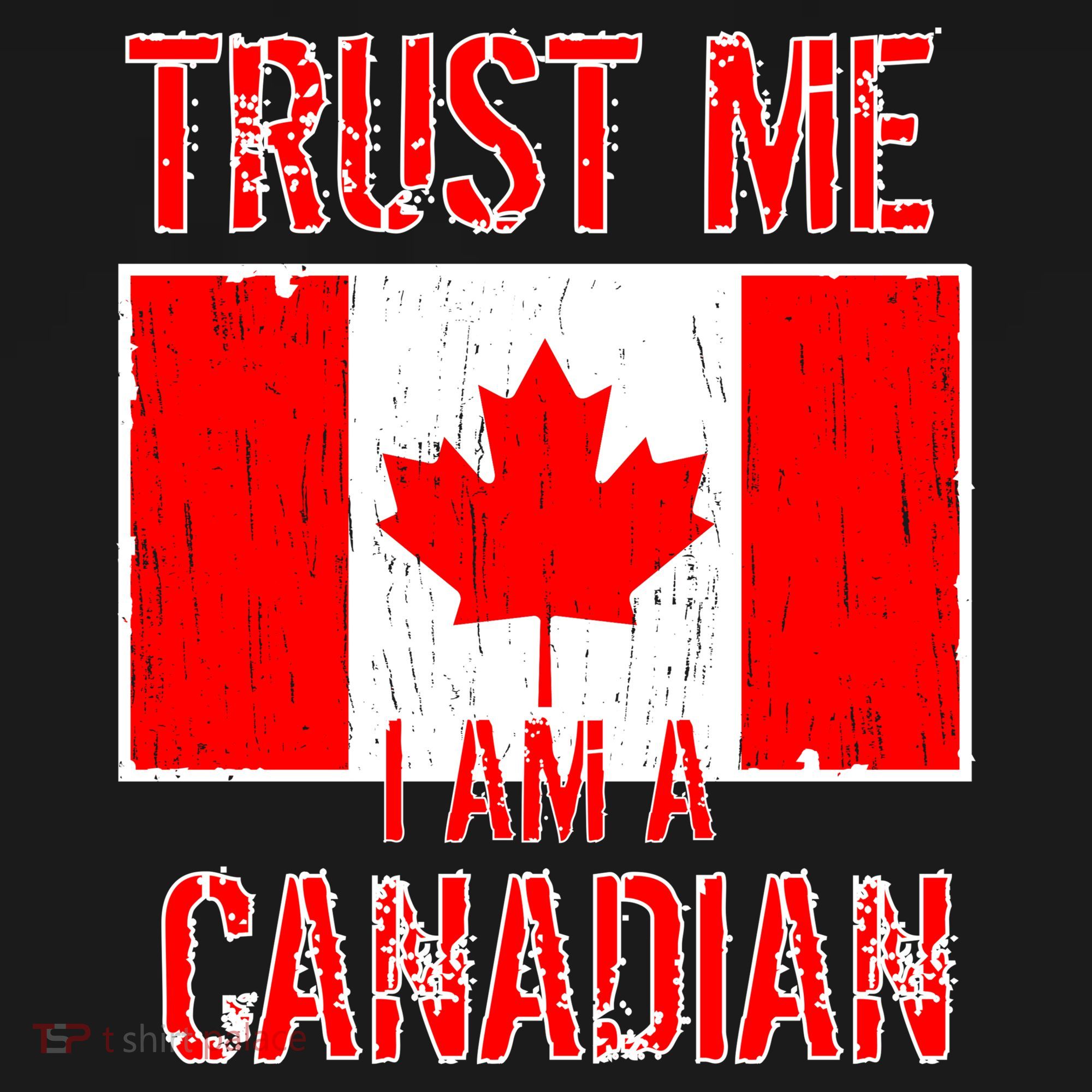 Trust Me I Am A Canadian Kids Hoodie