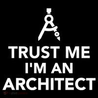 Trust Me I'm A Architect Women's Hoodie thumb 2