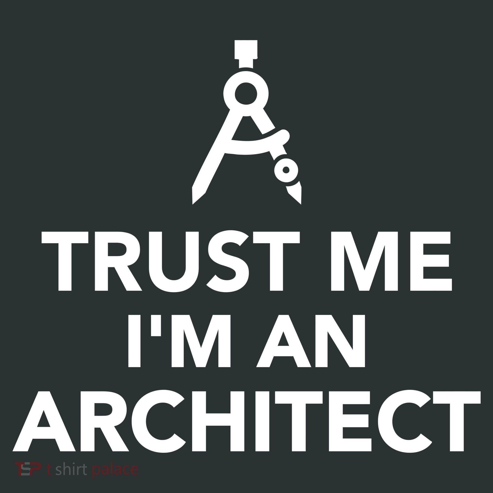 Trust Me I'm A Architect Coaster