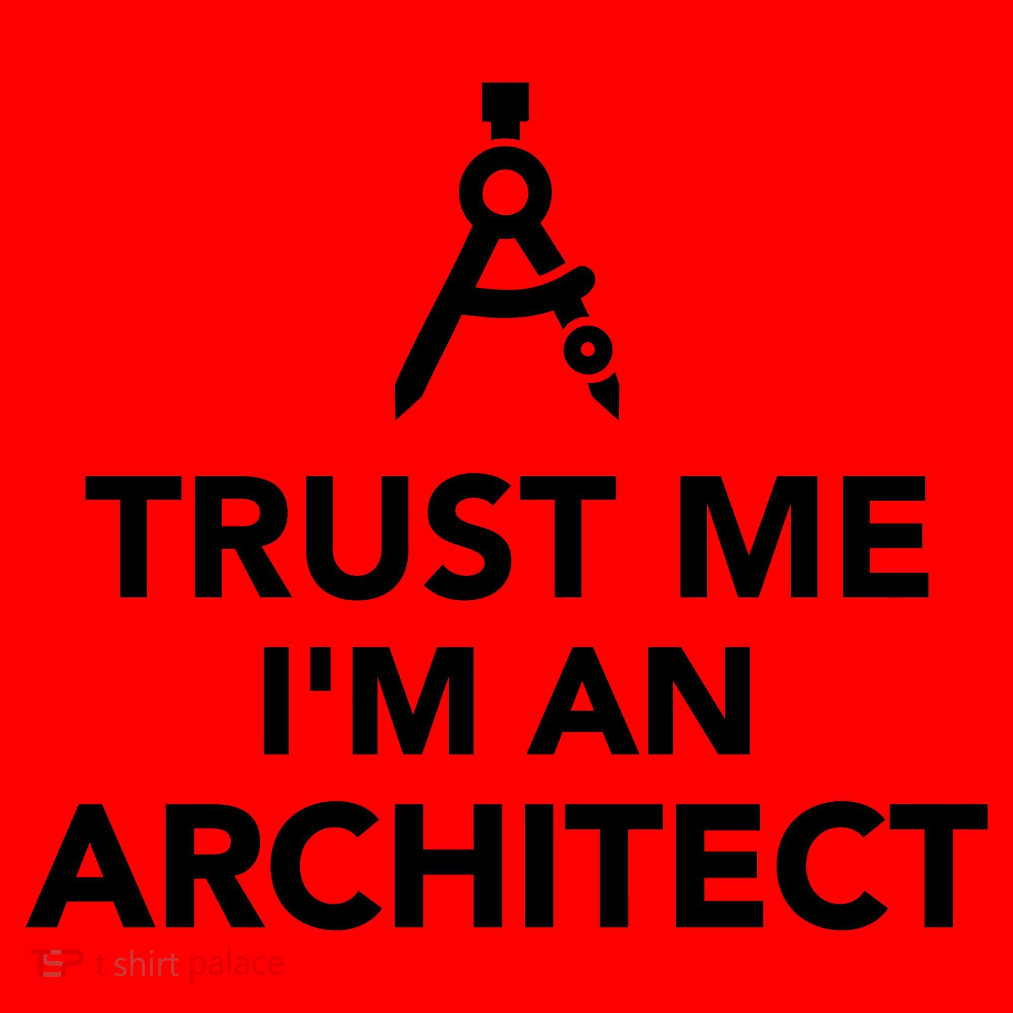Trust Me I'm A Architect Santa Hat