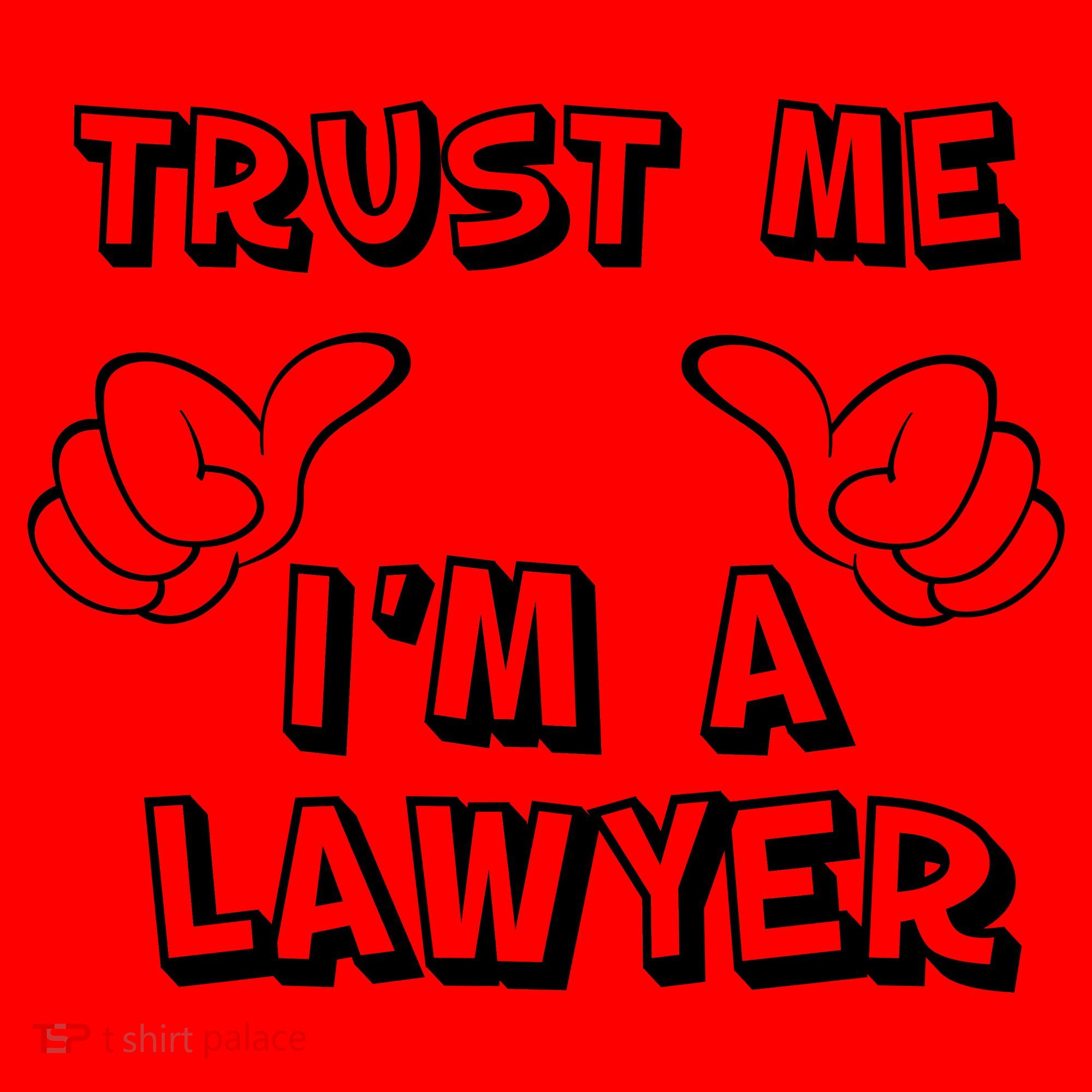 Trust Me I'm A Lawyer Santa Hat