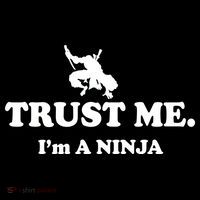 Trust Me I'm A Ninja Ornament thumb 1