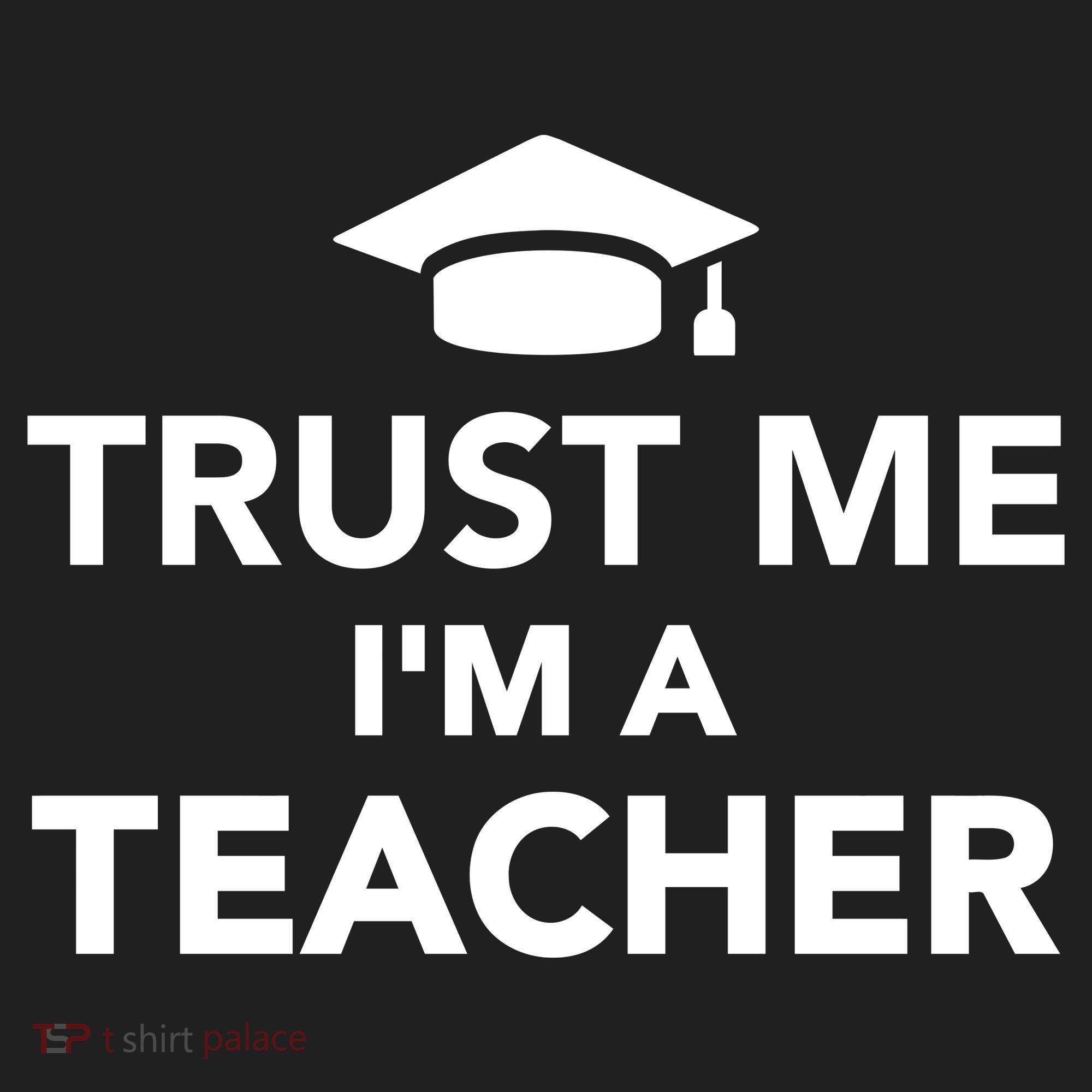 Trust Me I'm A Teacher Beanie