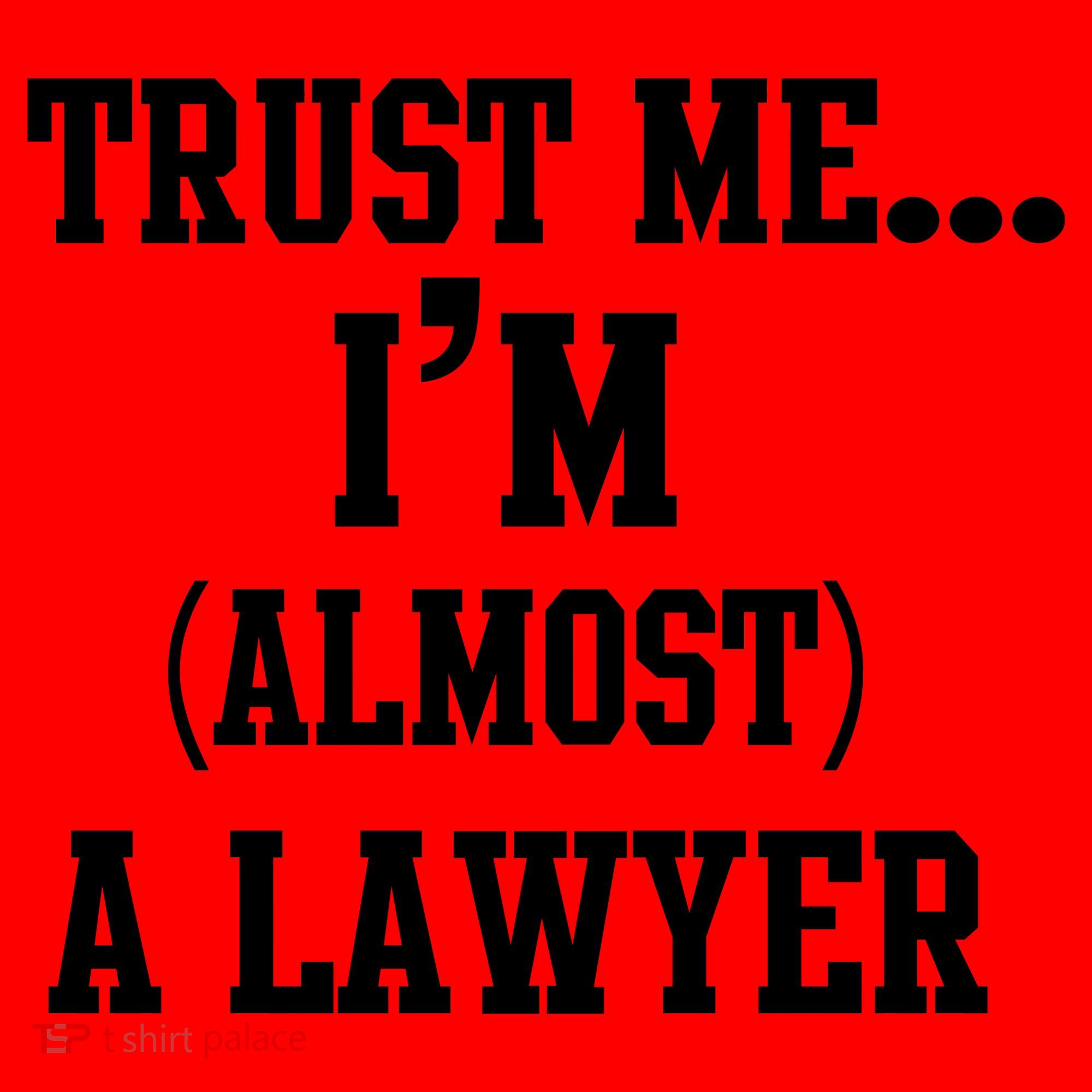 Trust Me I'm Almost A Lawyer Santa Hat