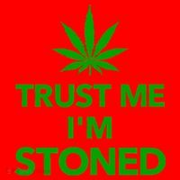 Trust Me I'm Stoned Marijuana Santa Hat thumb 1