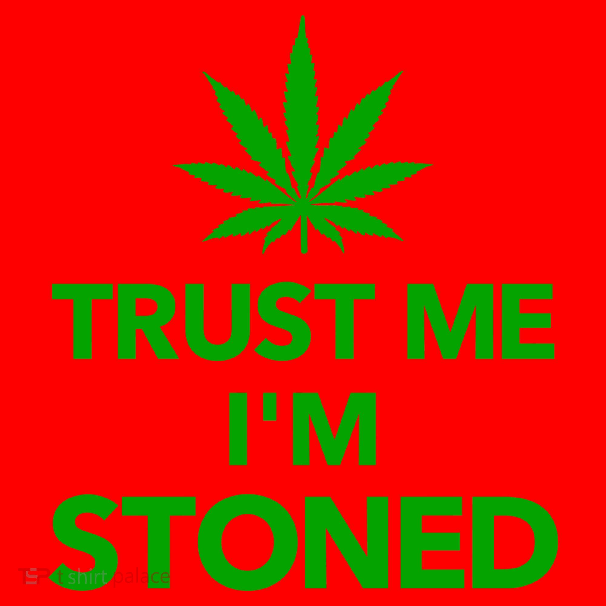 Trust Me I'm Stoned Marijuana Santa Hat