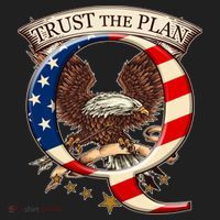 Trust The Plan Qanon American Flag Eagle Women's Sweatshirt thumb 2