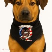 Trust The Plan Qanon American Flag Eagle USA-Made Doggie Bandana thumb 1