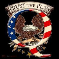 Trust The Plan Qanon American Flag Eagle USA-Made Doggie Bandana thumb 2