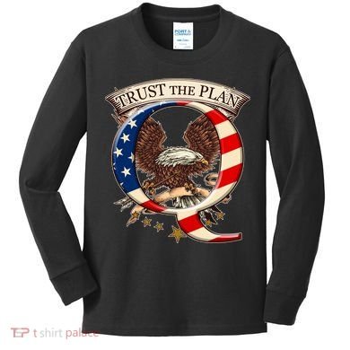 Trust The Plan Qanon American Flag Eagle Kids Long Sleeve Shirt