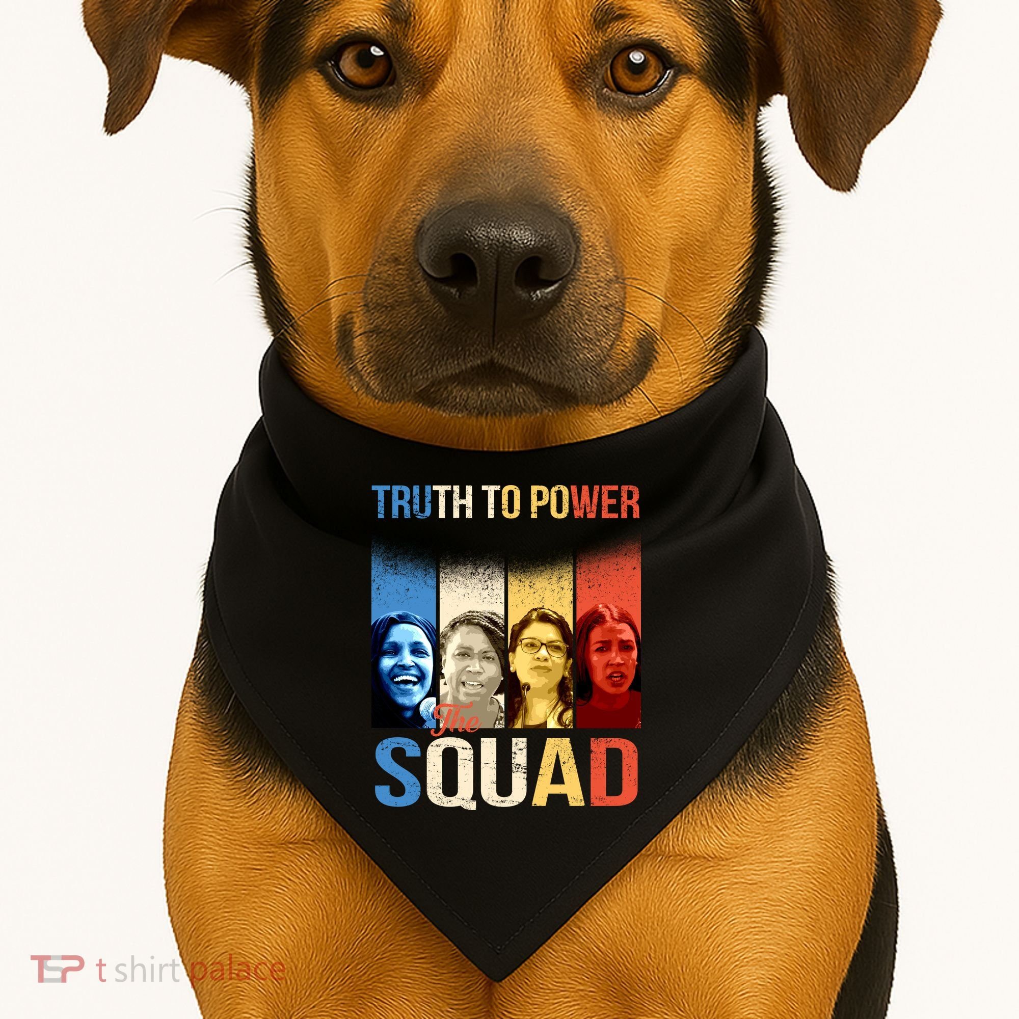 Truth To Power The Squad USA-Made Doggie Bandana