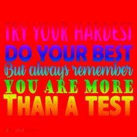 Try Your Hardest On The Test Day Santa Hat thumb 1