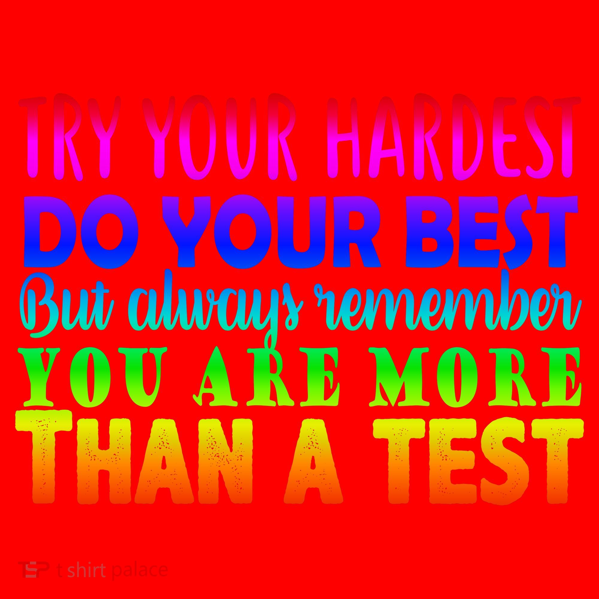 Try Your Hardest On The Test Day Santa Hat