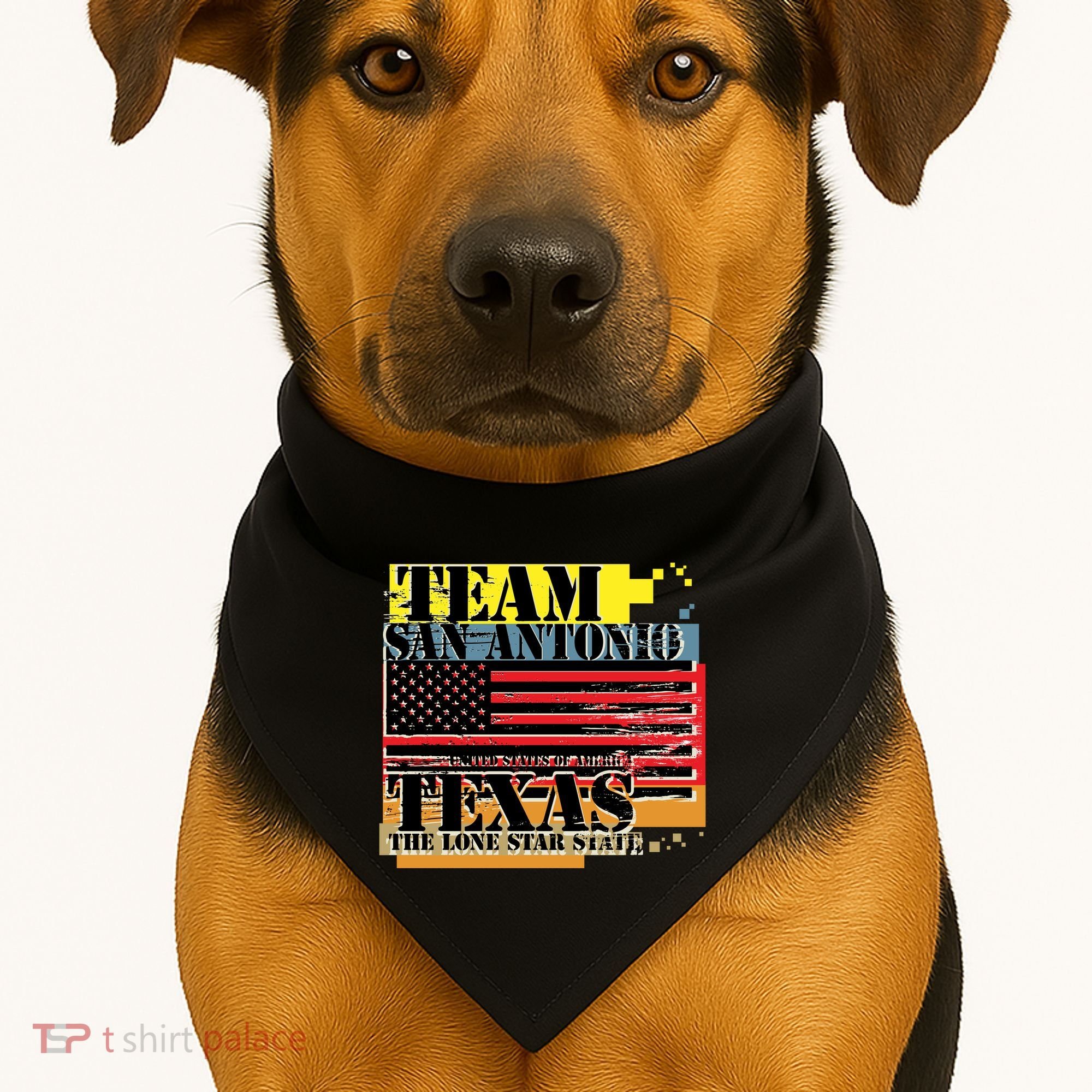 Team San Antonio Texas Grunge USA-Made Doggie Bandana