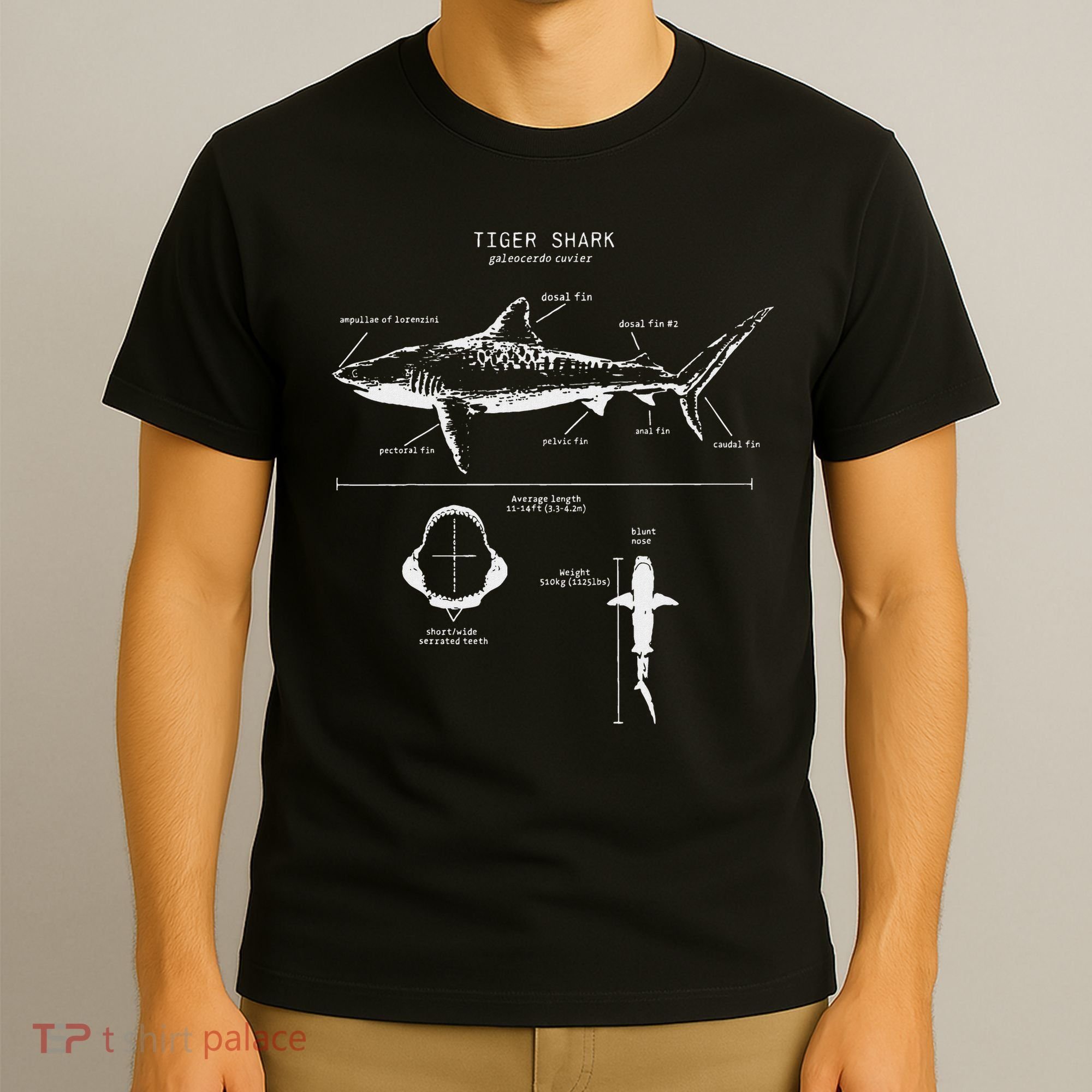 Tiger Shark Anatomy Marine Biologist T-Shirt