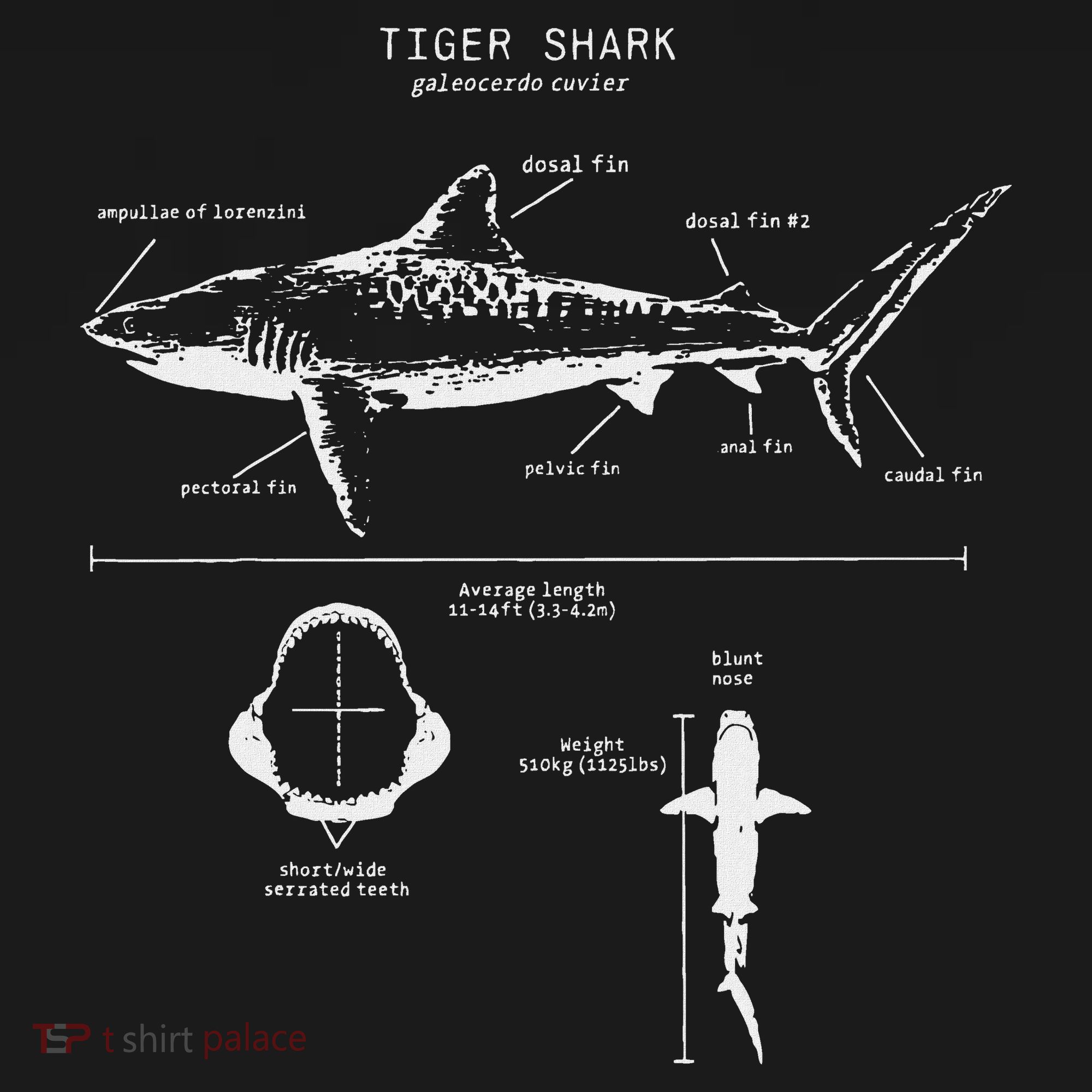 Tiger Shark Anatomy Marine Biologist T-Shirt